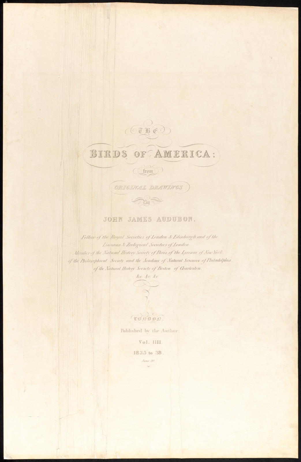 The birds of America — Audubon, John James, 1785-1851 (Artist)