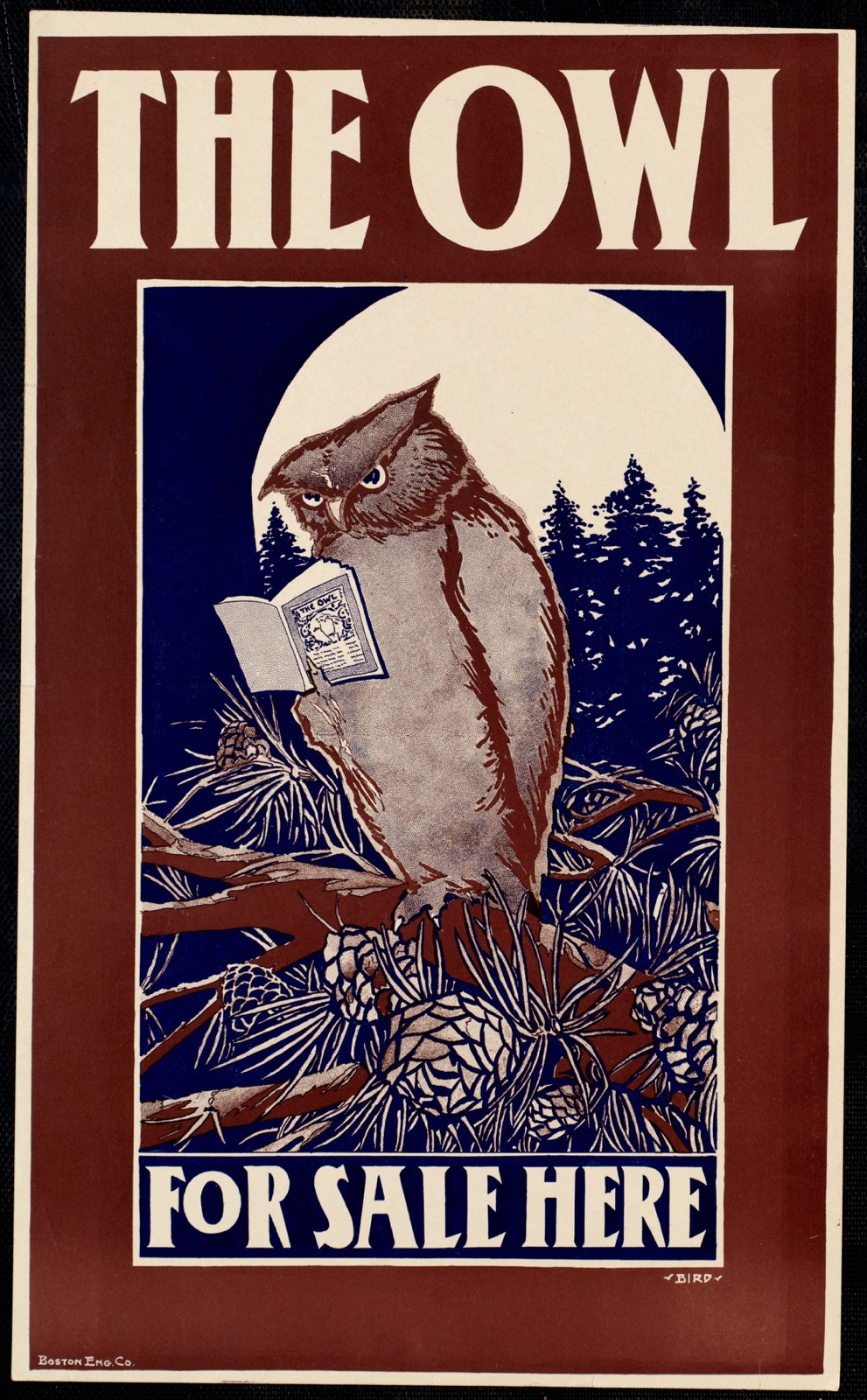 The owl for sale here — Bird, Elisha Brown (Artist)