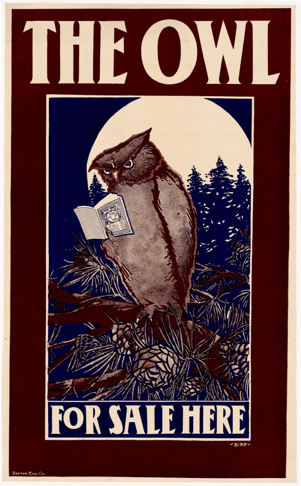 The owl for sale here — Bird, Elisha Brown (Artist)
