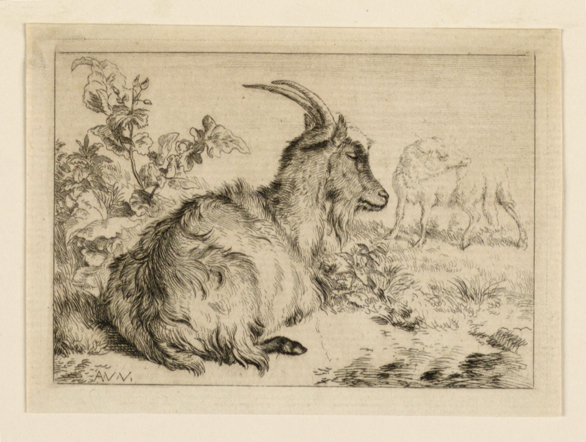 A Goat — Adrian van de Velde, Dutch, 1636 - 1672