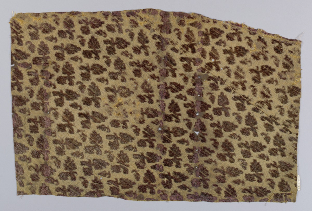 Fragment