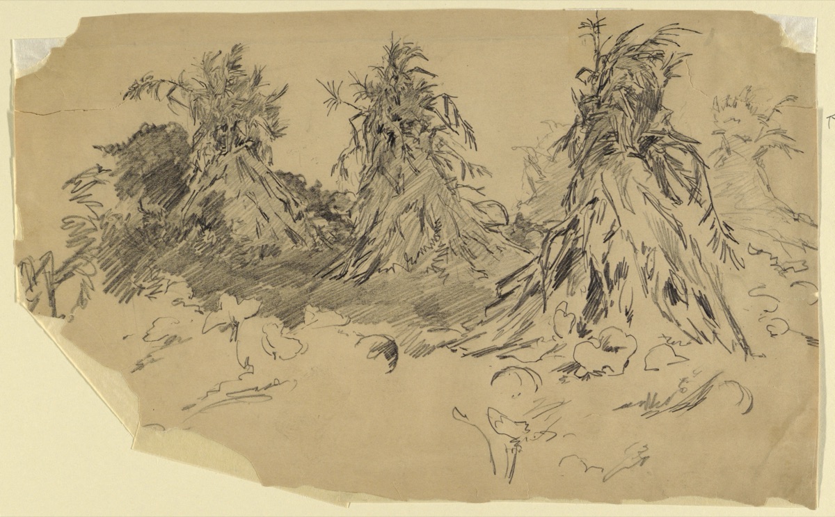 Cornstalks — Walter Shirlaw, American, b. Scotland, 1838–1909