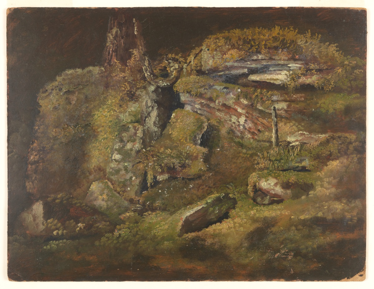 Boulder in the Woods — Frederic Edwin Church, American, 1826–1900