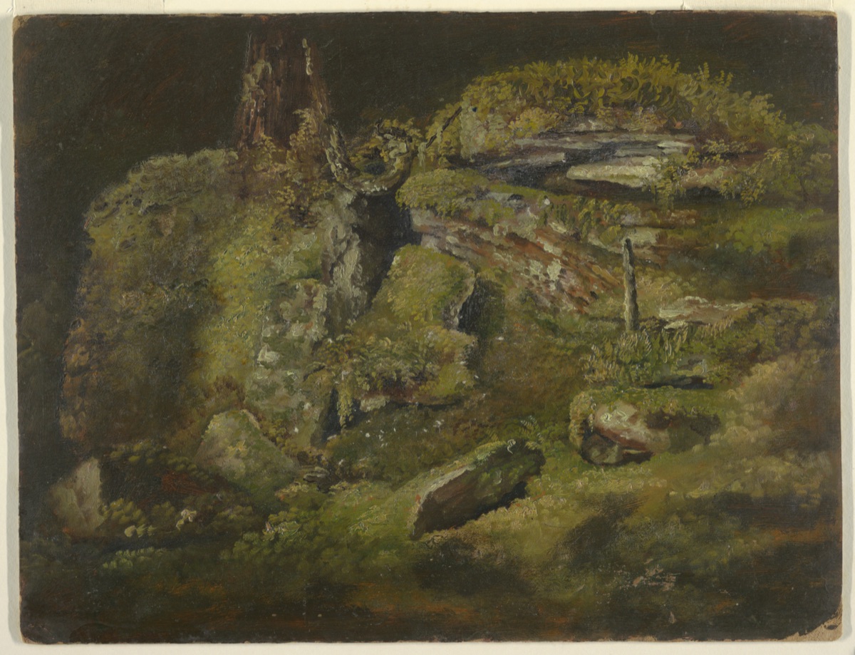 Boulder in the Woods — Frederic Edwin Church, American, 1826–1900