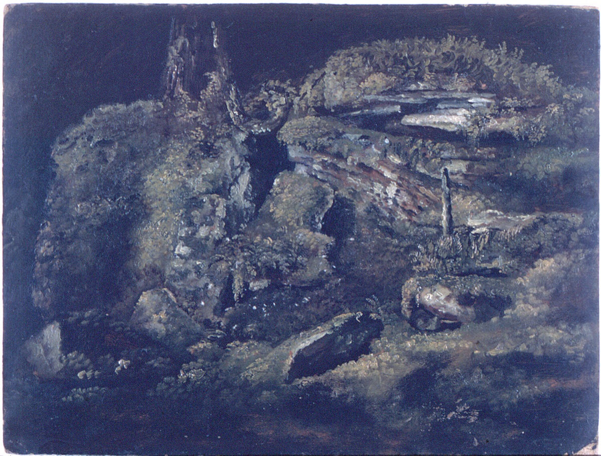 Boulder in the Woods — Frederic Edwin Church, American, 1826–1900