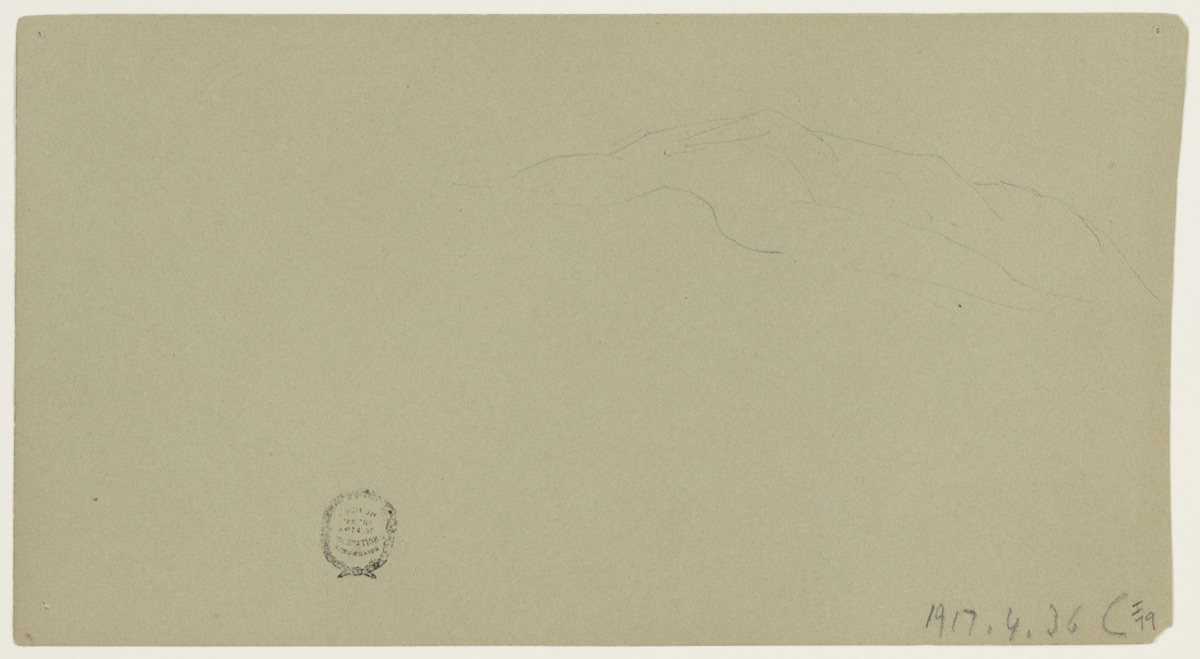 Sketches of Flowering Plants — Frederic Edwin Church, American, 1826–1900