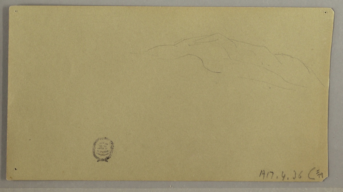 Sketches of Flowering Plants — Frederic Edwin Church, American, 1826–1900