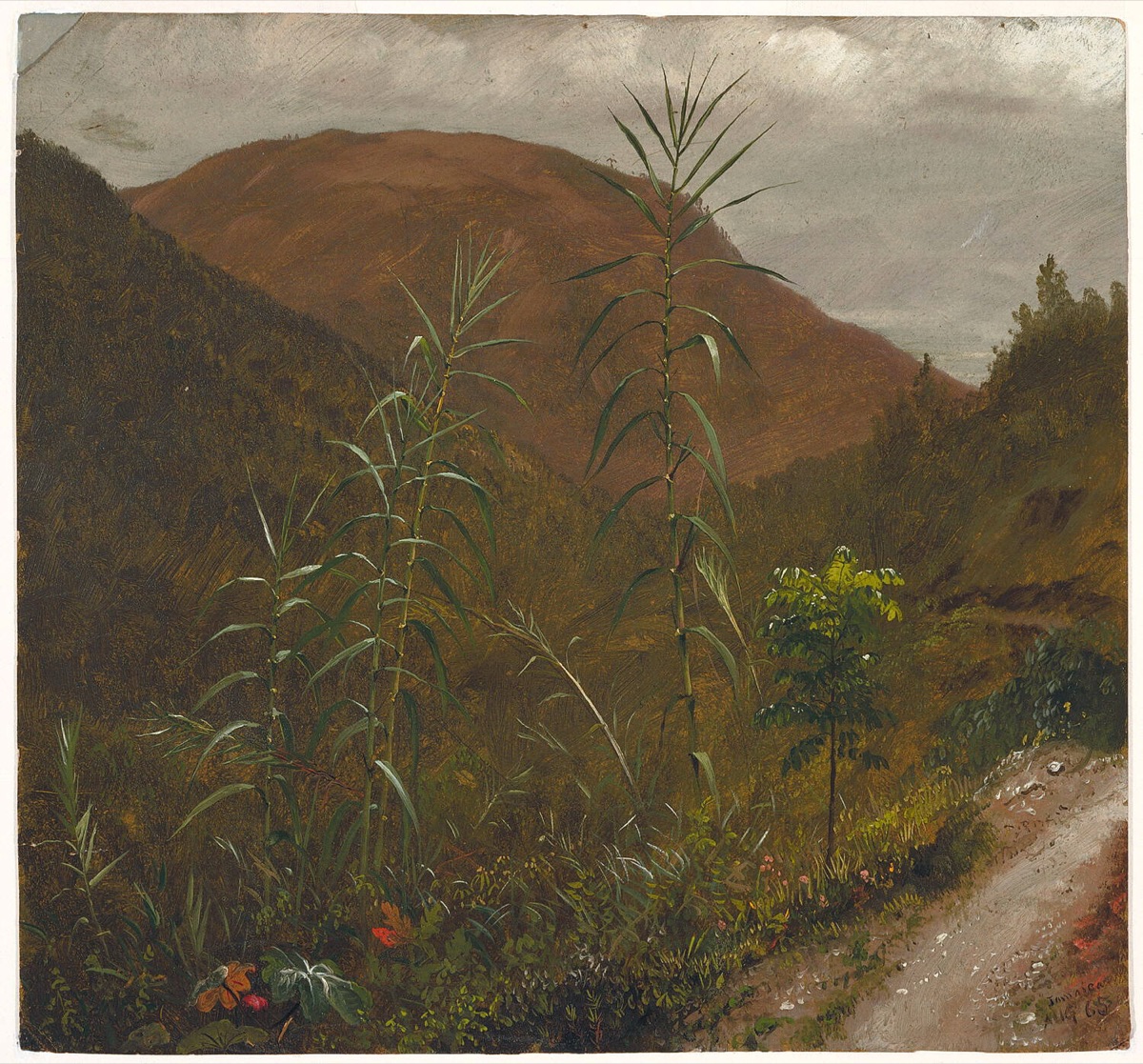 Wild Sugar Cane, Jamaica — Frederic Edwin Church, American, 1826–1900