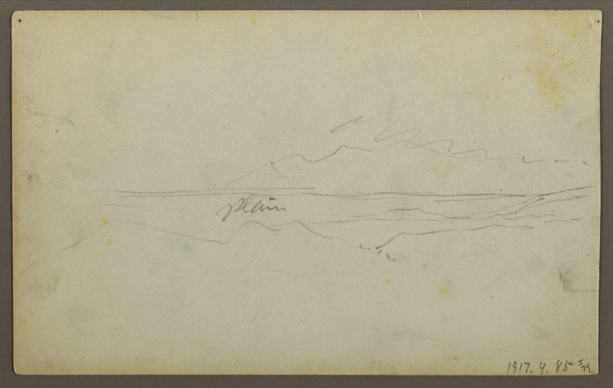 Botanical Sketches, Colombia — Frederic Edwin Church, American, 1826–1900