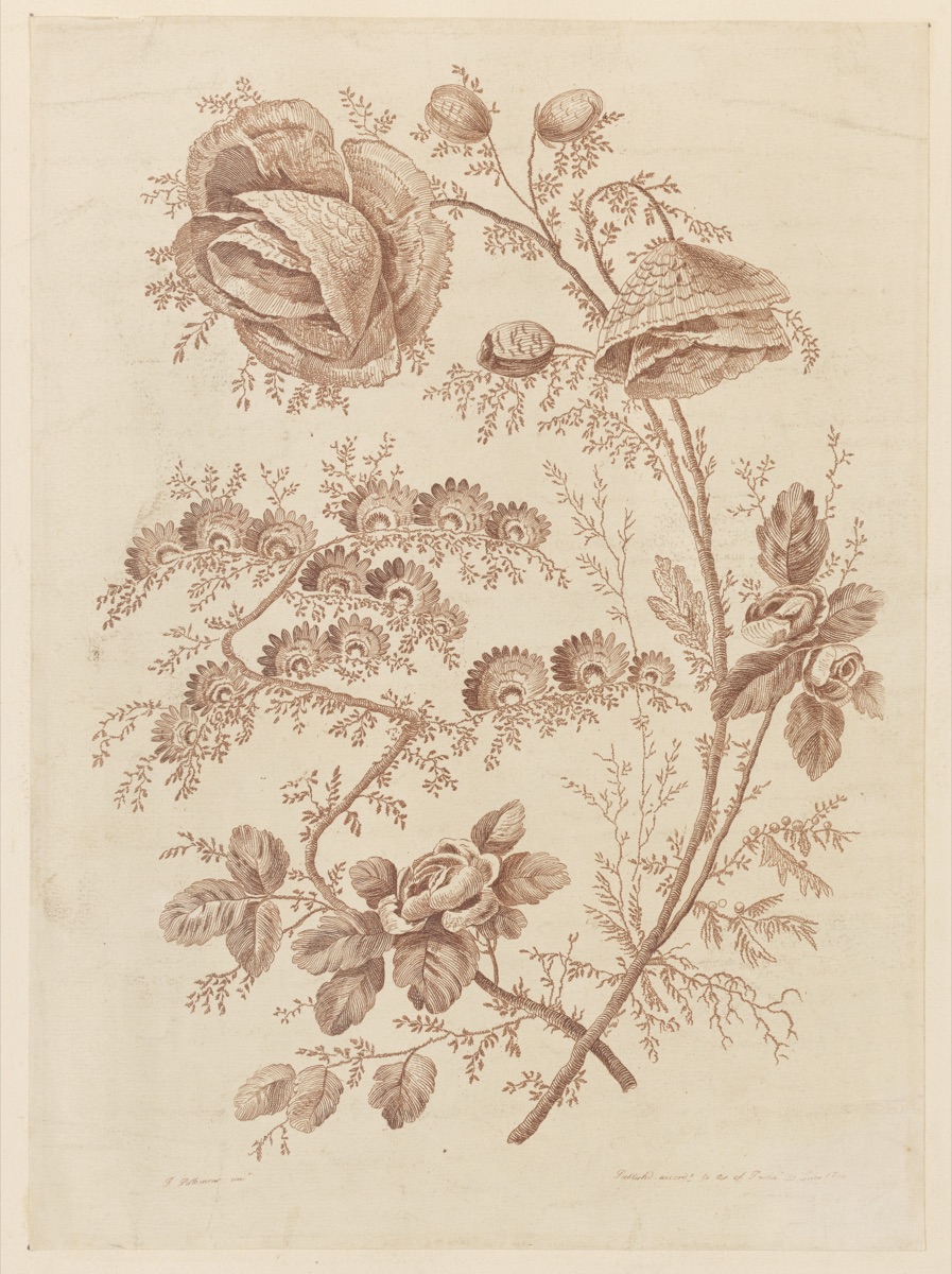 Flower Bough, from "Cahier de Fleurs Singuliers" — Jean-Baptiste Pillement, French, 1728–1808