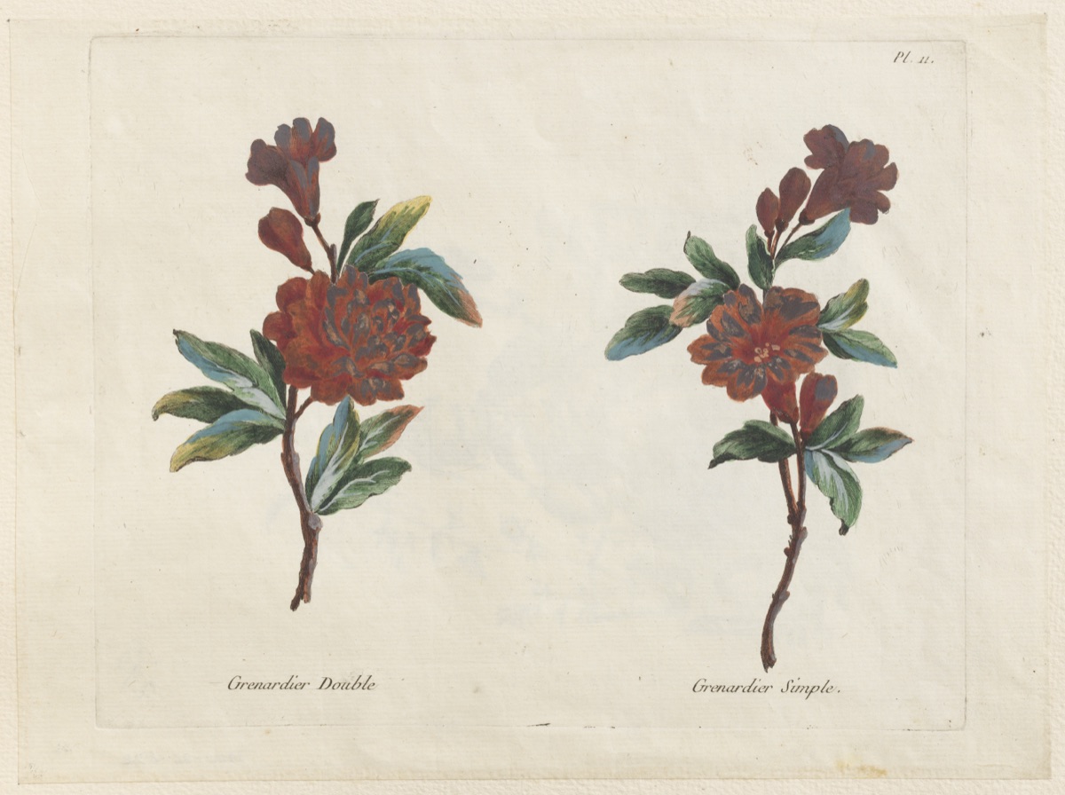 Print — Jean-Baptiste Pillement, French, 1728–1808