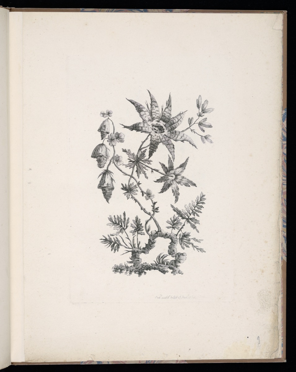 Spray of Flowers — Jean-Baptiste Pillement, French, 1728–1808; Pierre-Charles Canot, French, 1710 - 1777; Charles Leviez, French, 1708–1778