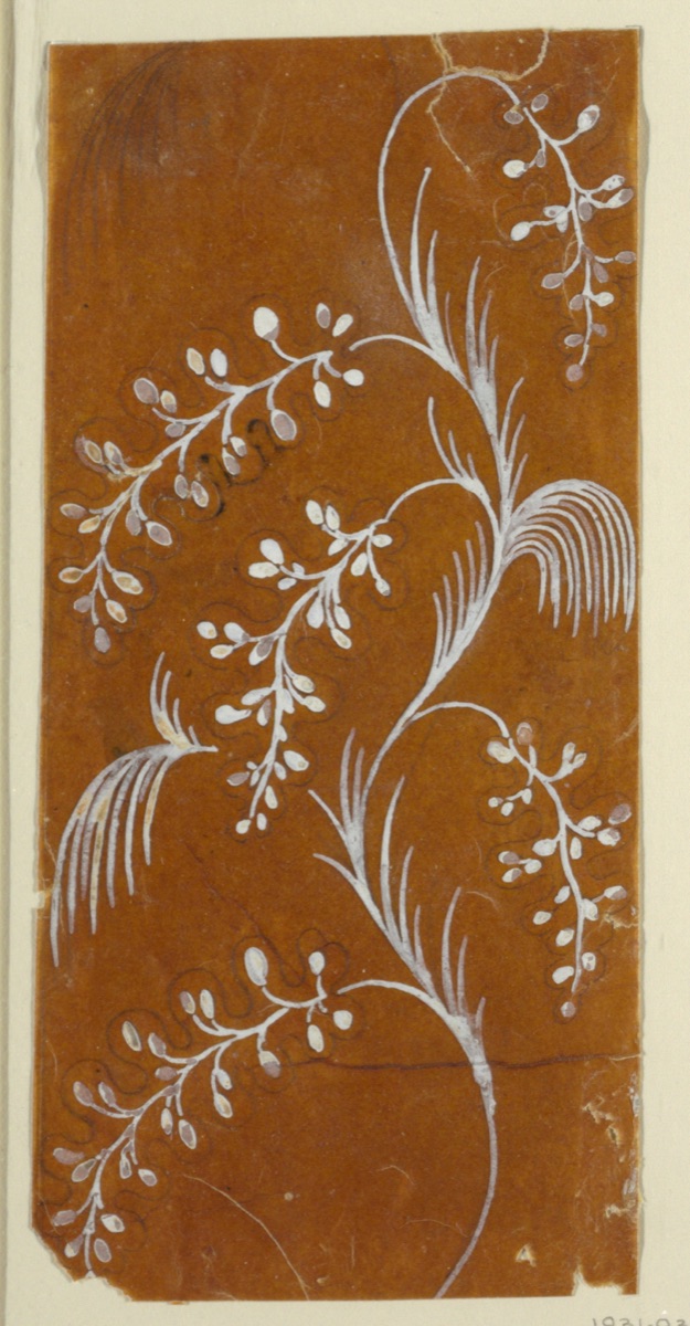 Floral field and border
