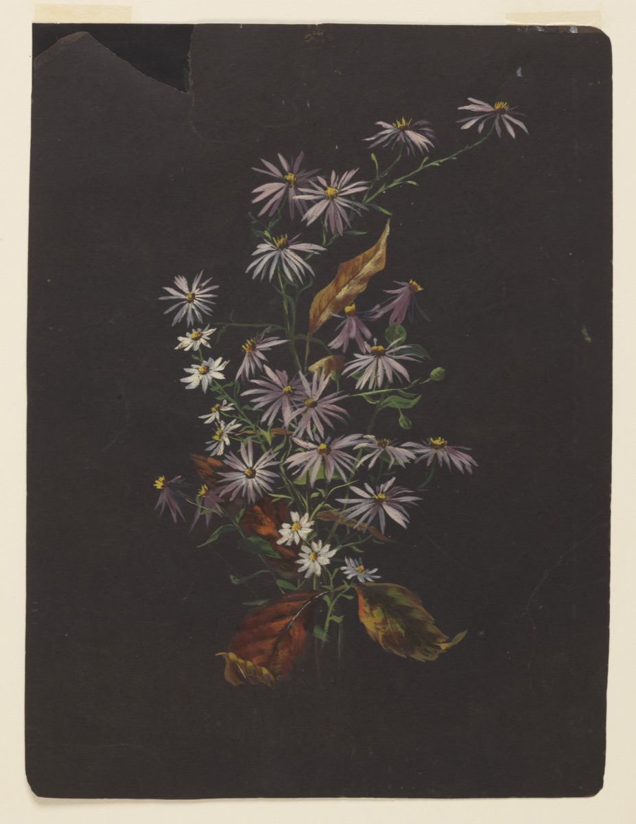 Study of an Autumn Bouquet — Sophia L. Crownfield, American, 1862–1929