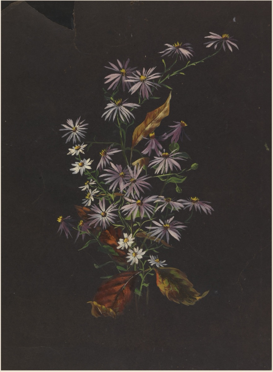 Study of an Autumn Bouquet — Sophia L. Crownfield, American, 1862–1929