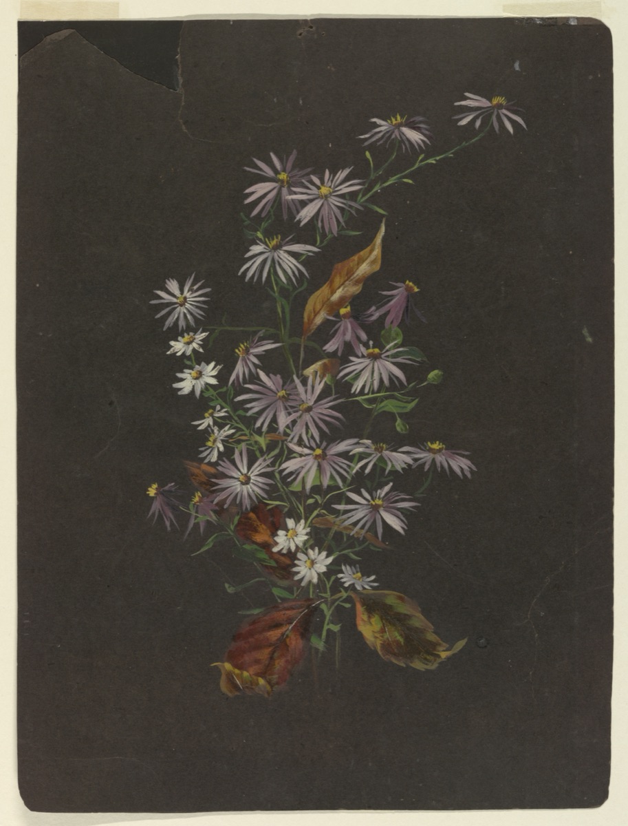 Study of an Autumn Bouquet — Sophia L. Crownfield, American, 1862–1929