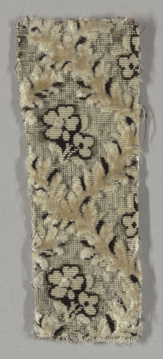 Fragment