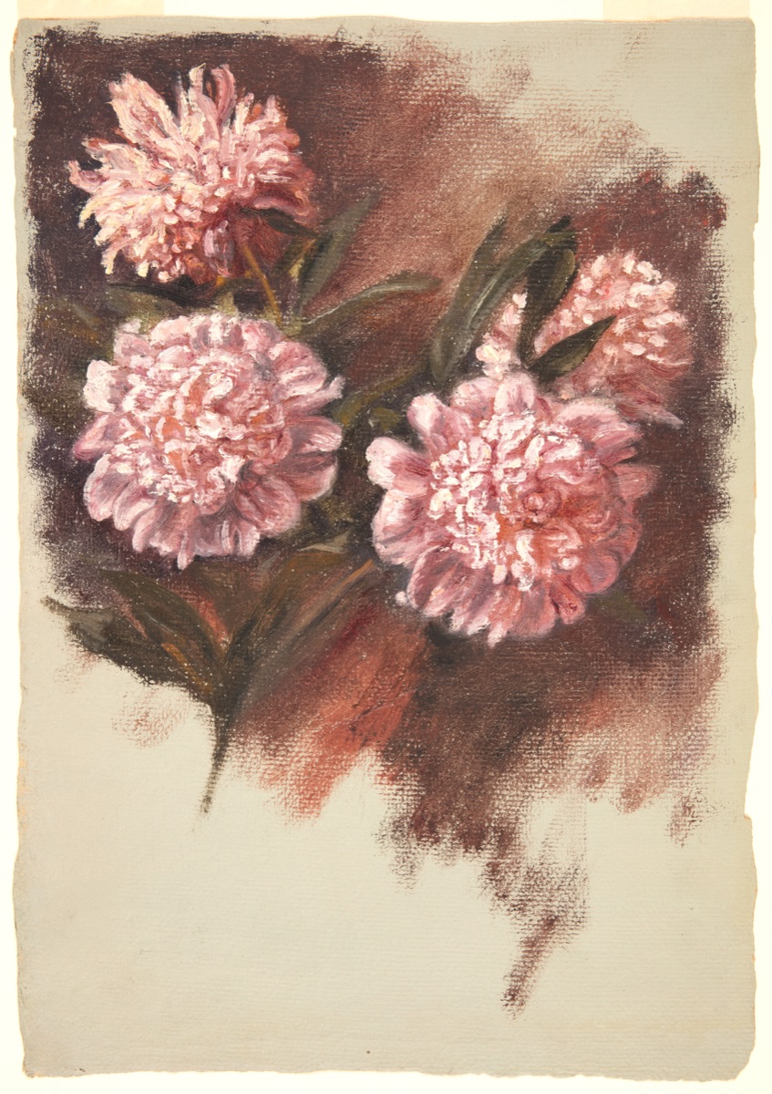 Red Peonies — Samuel Colman, American, 1832–1920