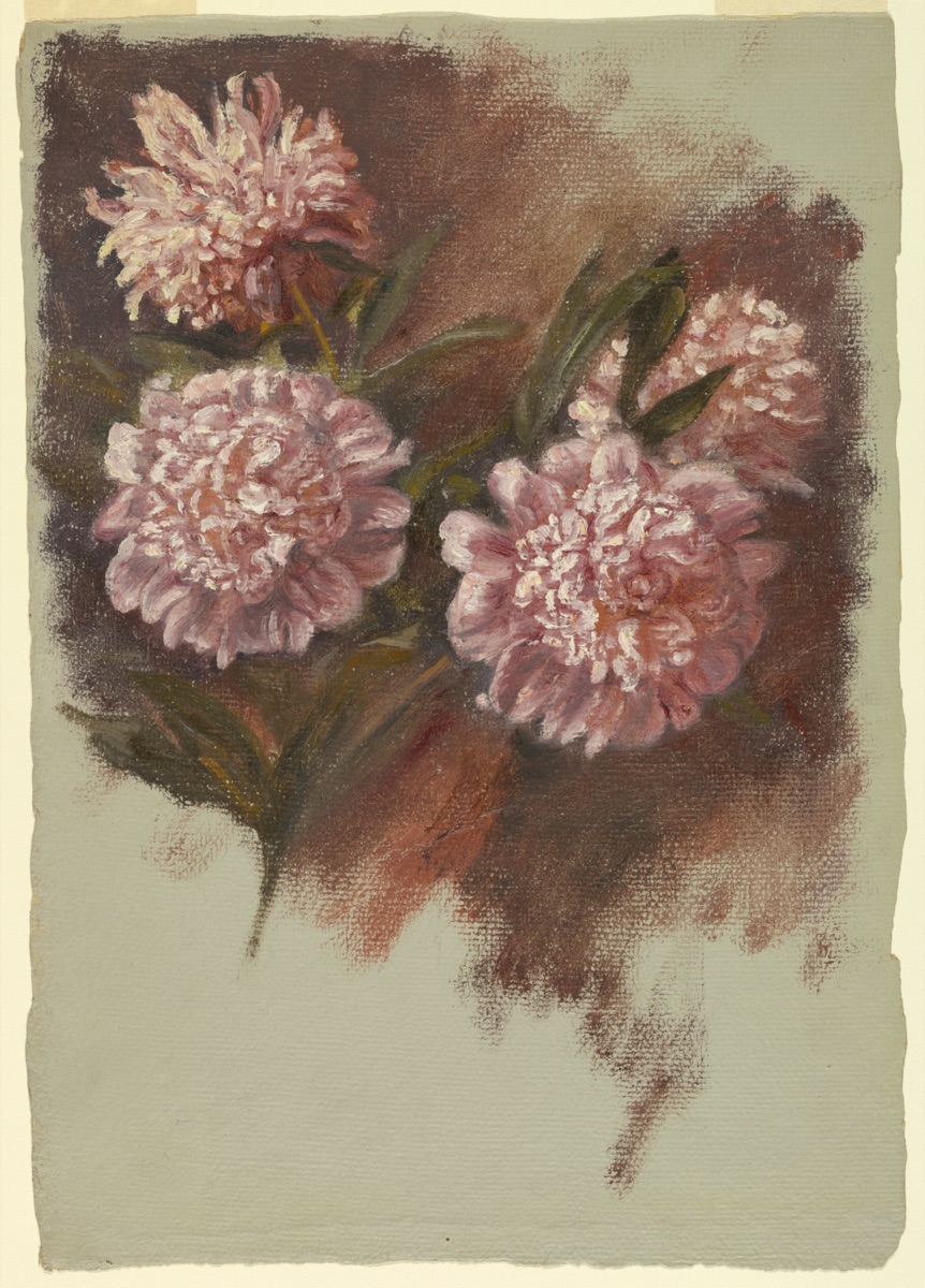 Red Peonies — Samuel Colman, American, 1832–1920