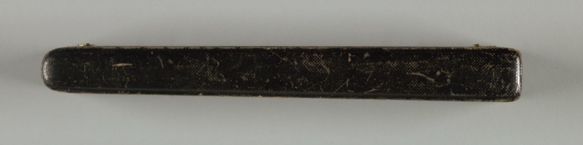 Pleated fan and case
