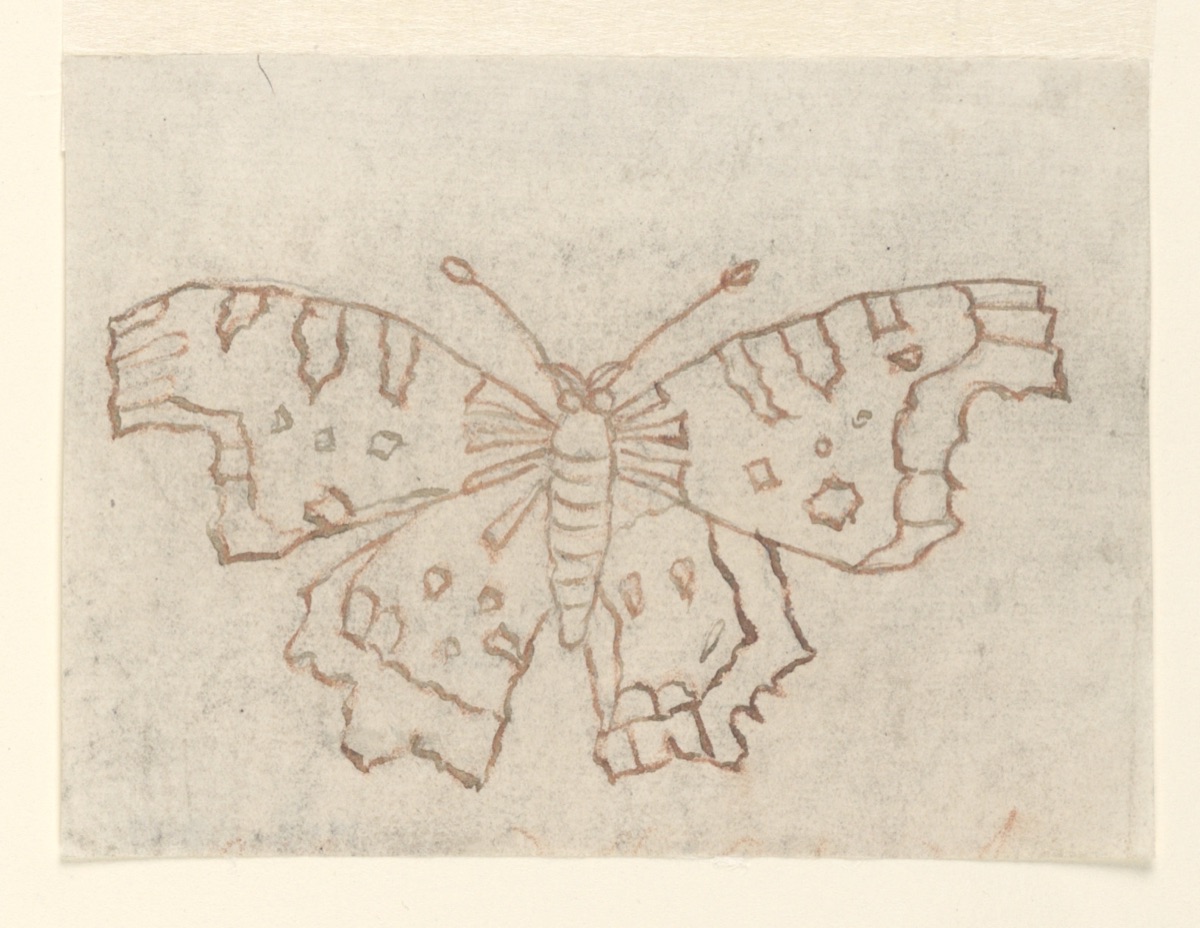 Textile Design: A Butterfly