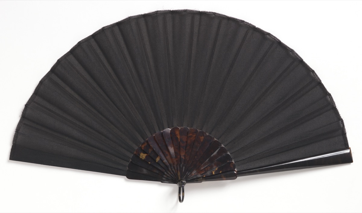 Pleated fan and case