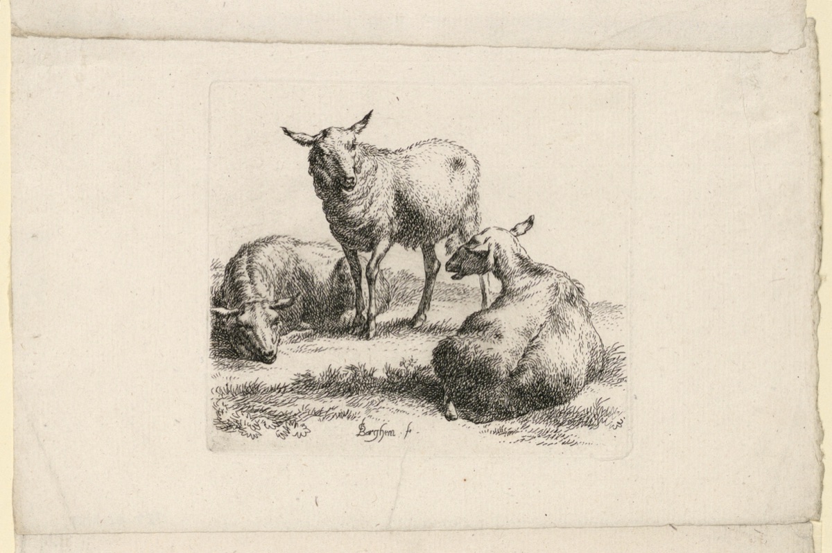 Study of Sheep — Nicolaes Berchem, Dutch, 1620–1683