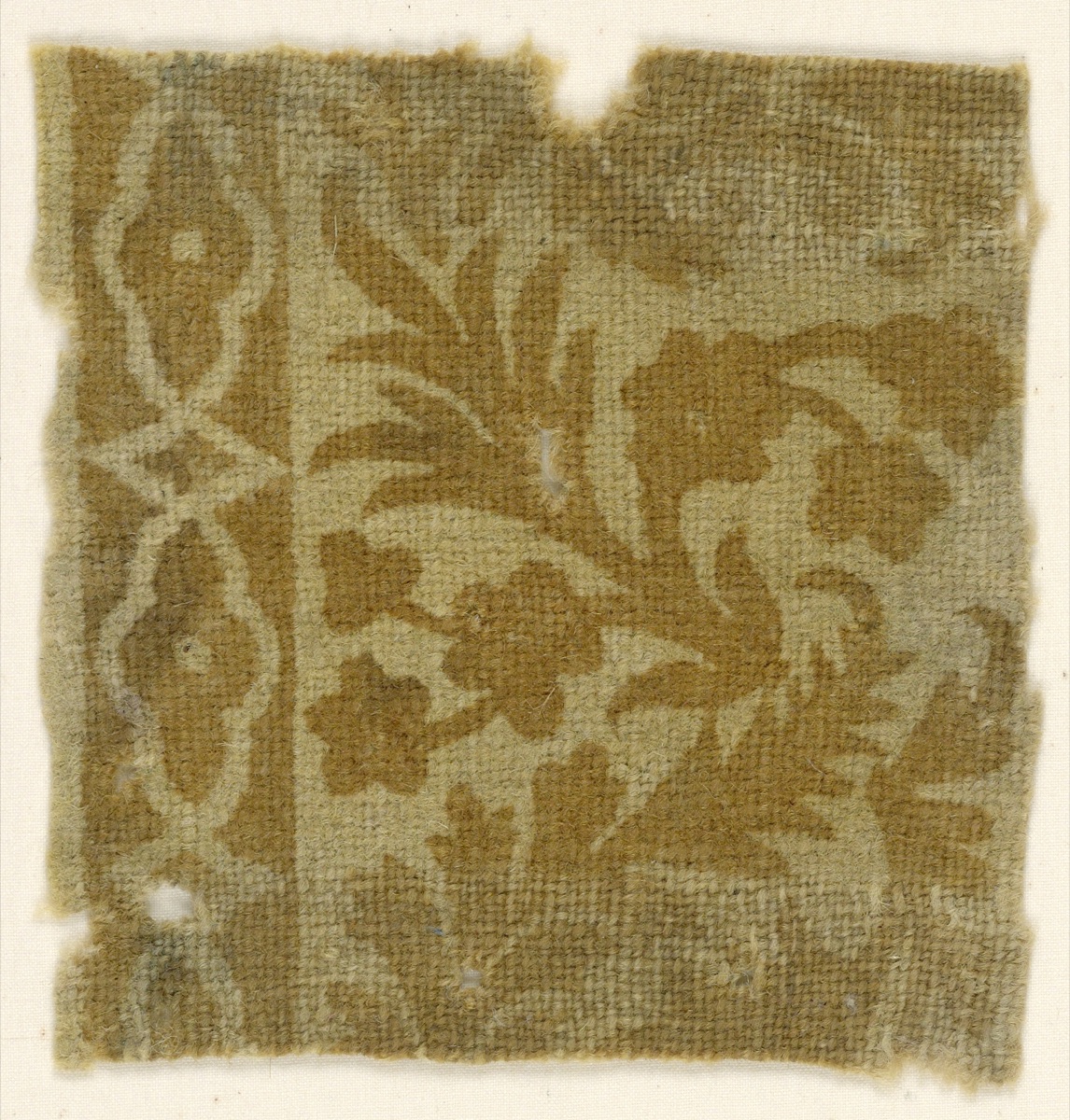 Fragment