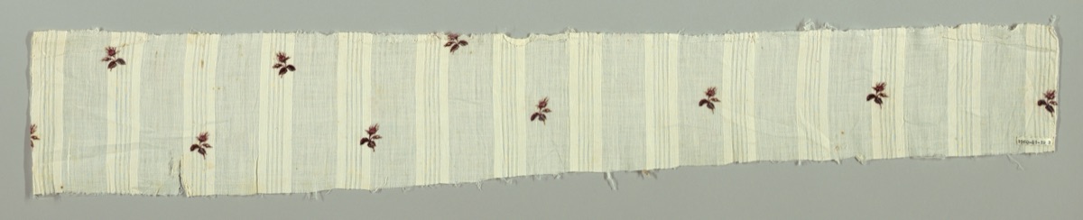 Fragment