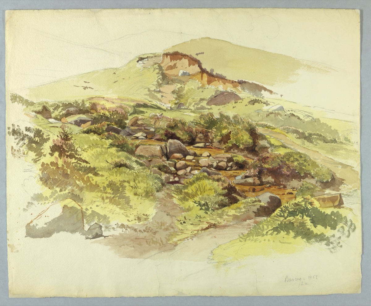 Study of landscape, Baveno, Lago Maggiore, Italy — William Stanley Haseltine, American, 1835–1900