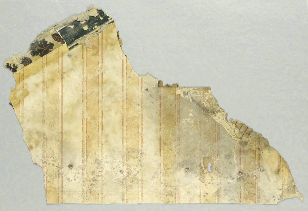 Sidewall - fragment