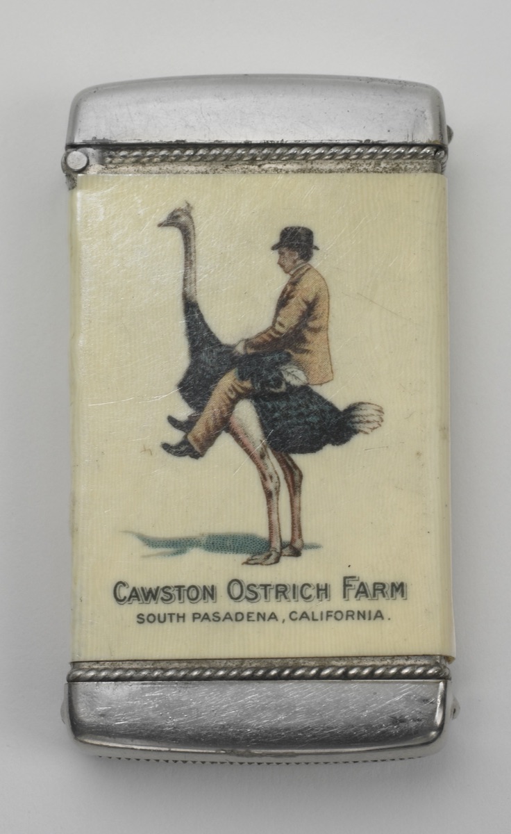 "Cawston Ostrich Farm, South Pasadena, California" — Whitehead & Hoag Company