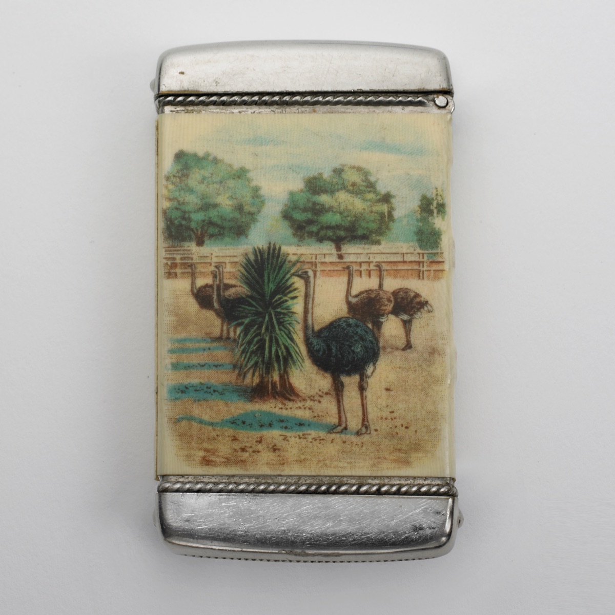 "Cawston Ostrich Farm, South Pasadena, California" — Whitehead & Hoag Company