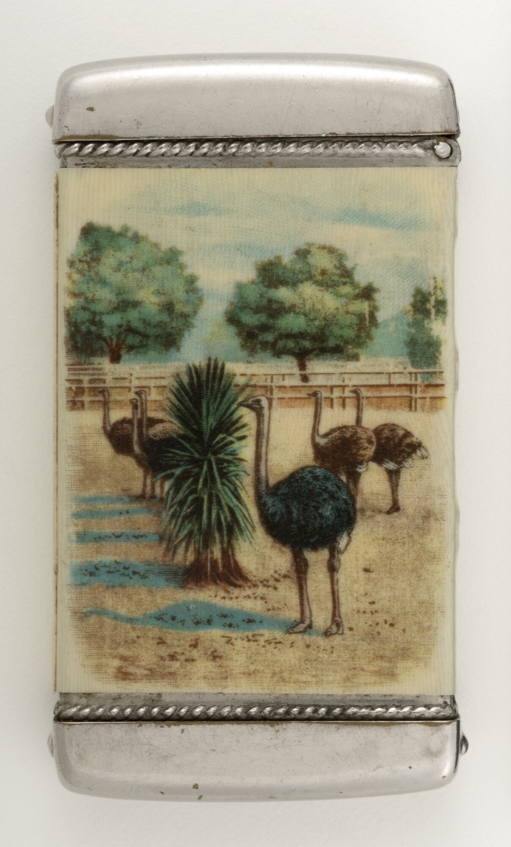 "Cawston Ostrich Farm, South Pasadena, California" — Whitehead & Hoag Company