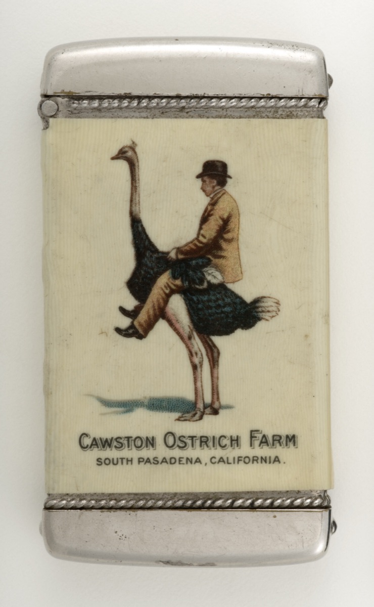 "Cawston Ostrich Farm, South Pasadena, California" — Whitehead & Hoag Company