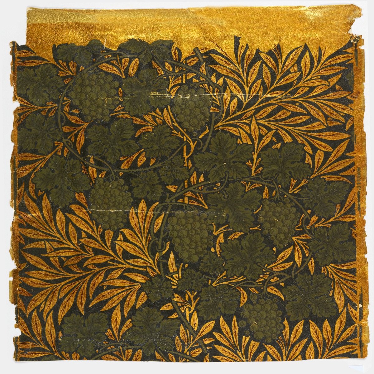 Vine — Morris & Co., London, England
