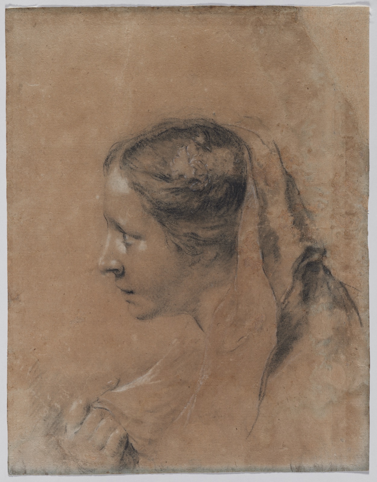 Head of a Woman in Profile with a Scarf — Giovanni Battista Piazzetta (Italian, 1682–1754)