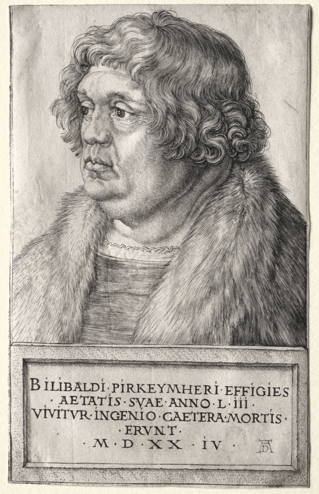 Willibald Pirkheimer — Albrecht Dürer (German, 1471–1528)