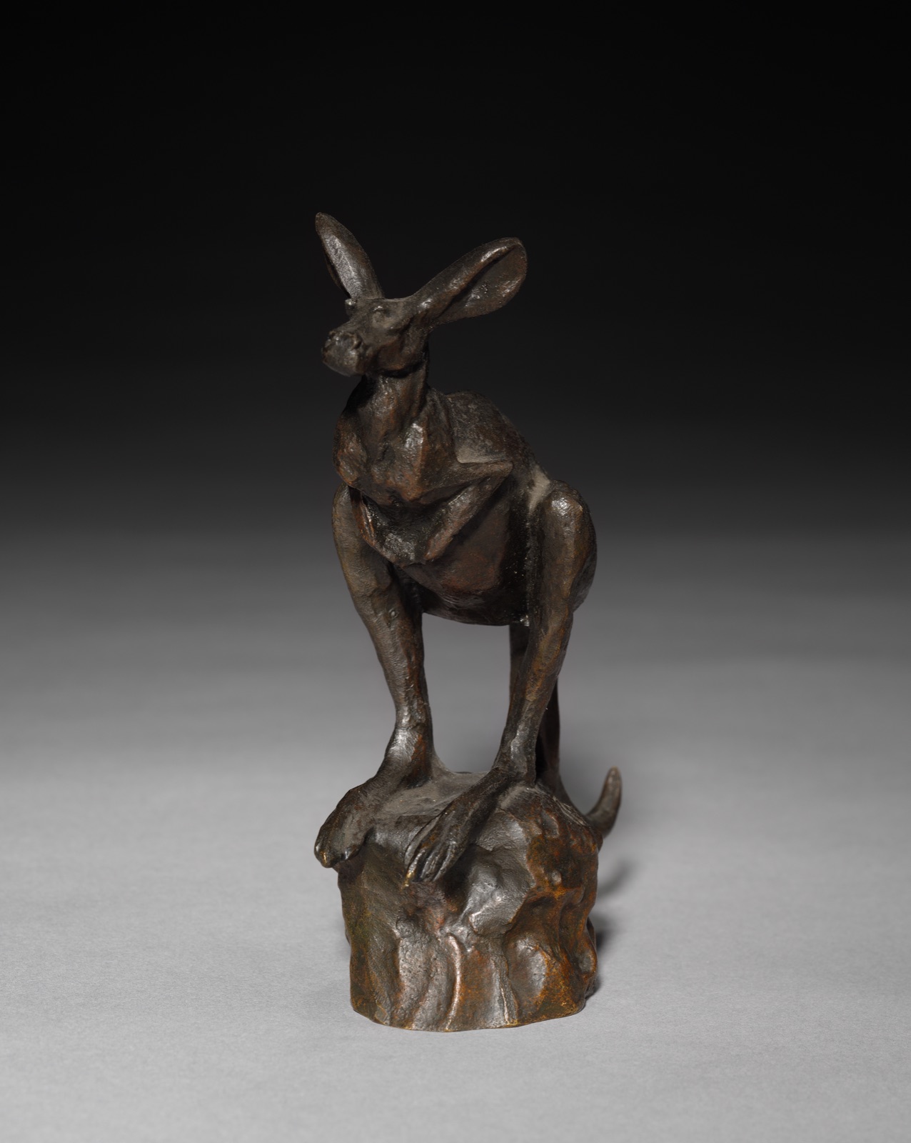 Kangaroo