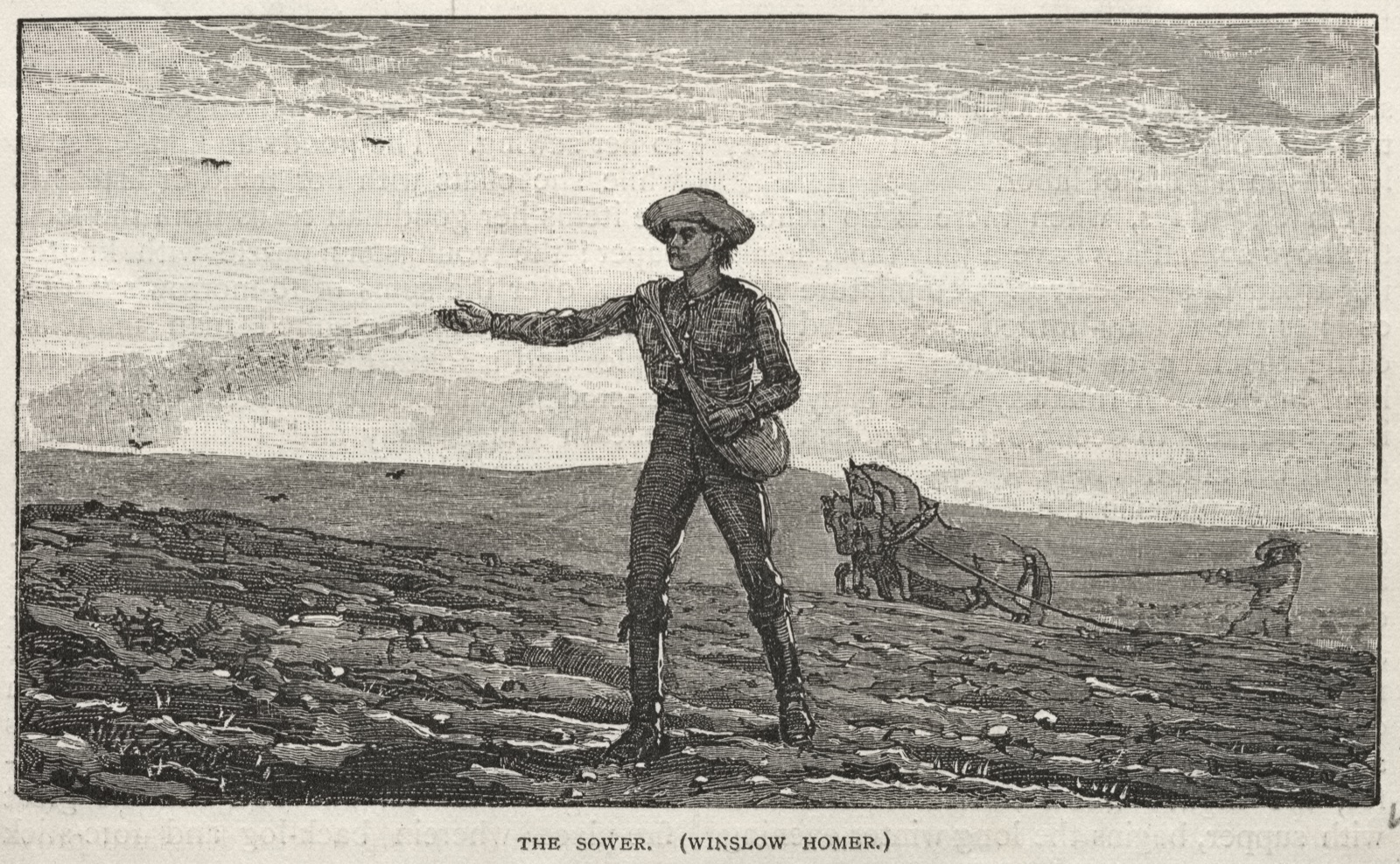 The Sower — Winslow Homer (American, 1836–1910)