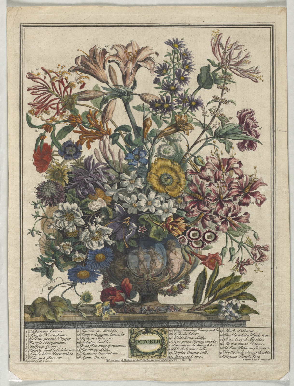 Twelve Months of Flowers: October — Henry Fletcher (British, active 1715–38)
