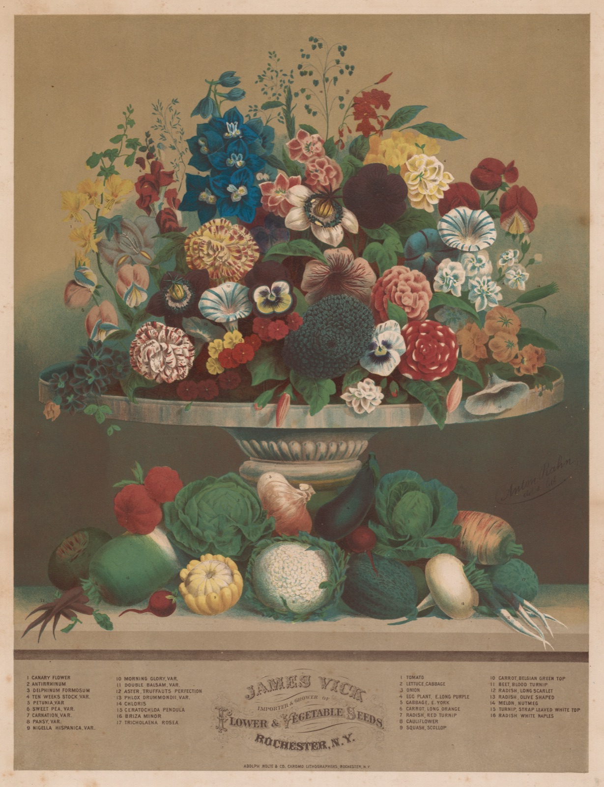 Flowers and Vegetables — Anton Carl Rahn (American, born Germany, 1842–1907)