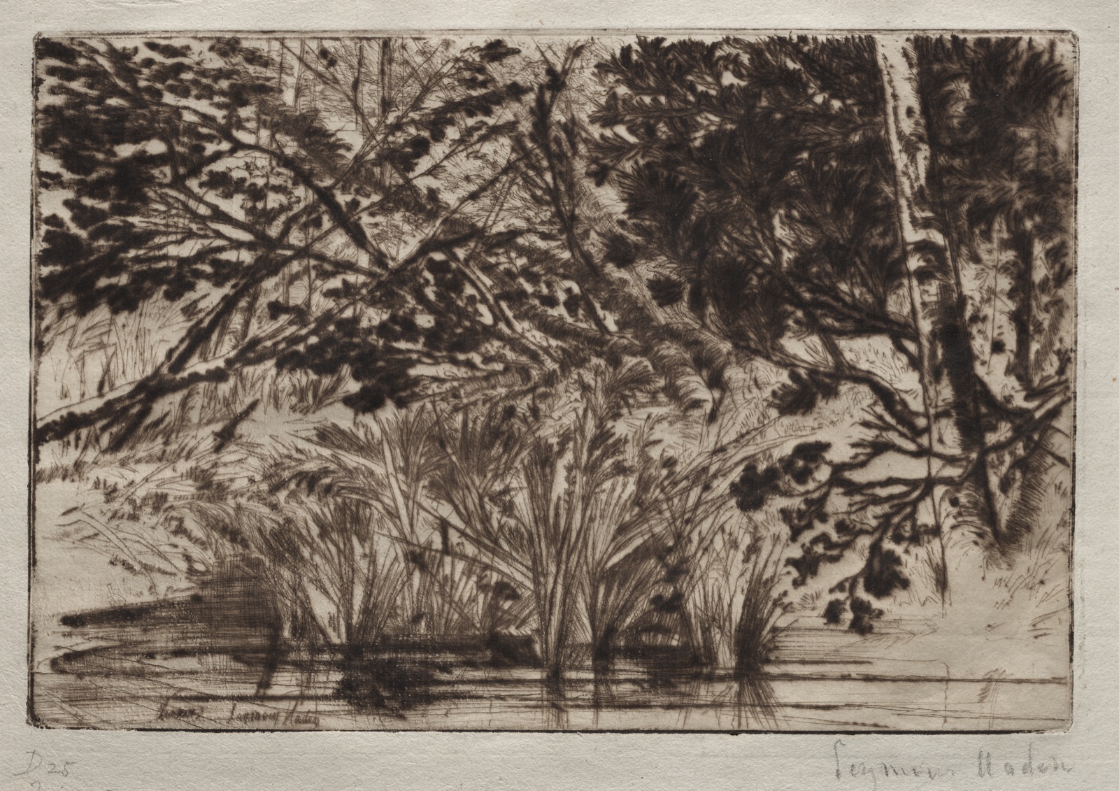 The Mouth of a Brook (Second Plate) — Francis Seymour Haden (British, 1818–1910)