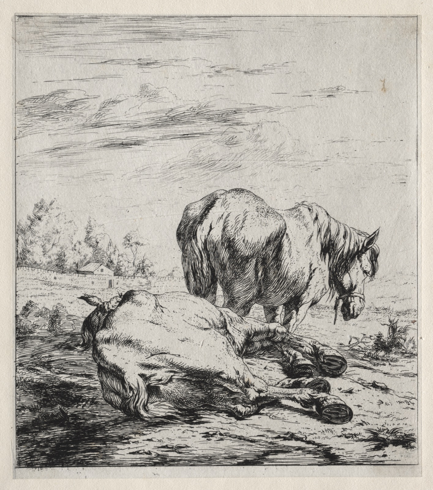 The Two Horses — Charles Meryon (French, 1821–1868)
