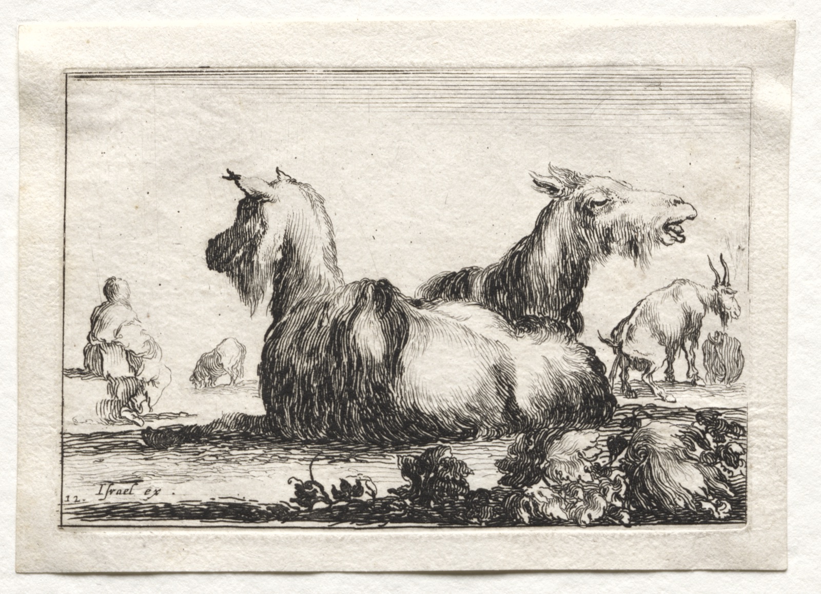 Caprices: Two Goats — Stefano Della Bella (Italian, 1610–1664)