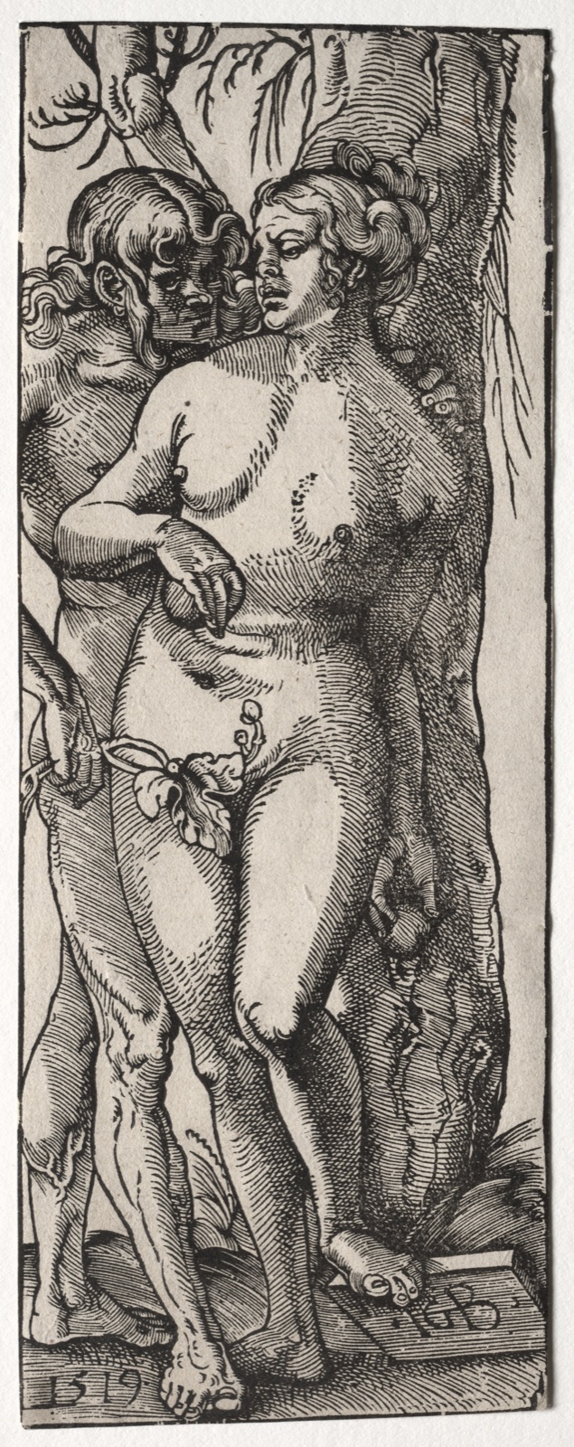 Adam and Eve — Hans Baldung (German, 1484/85–1545)