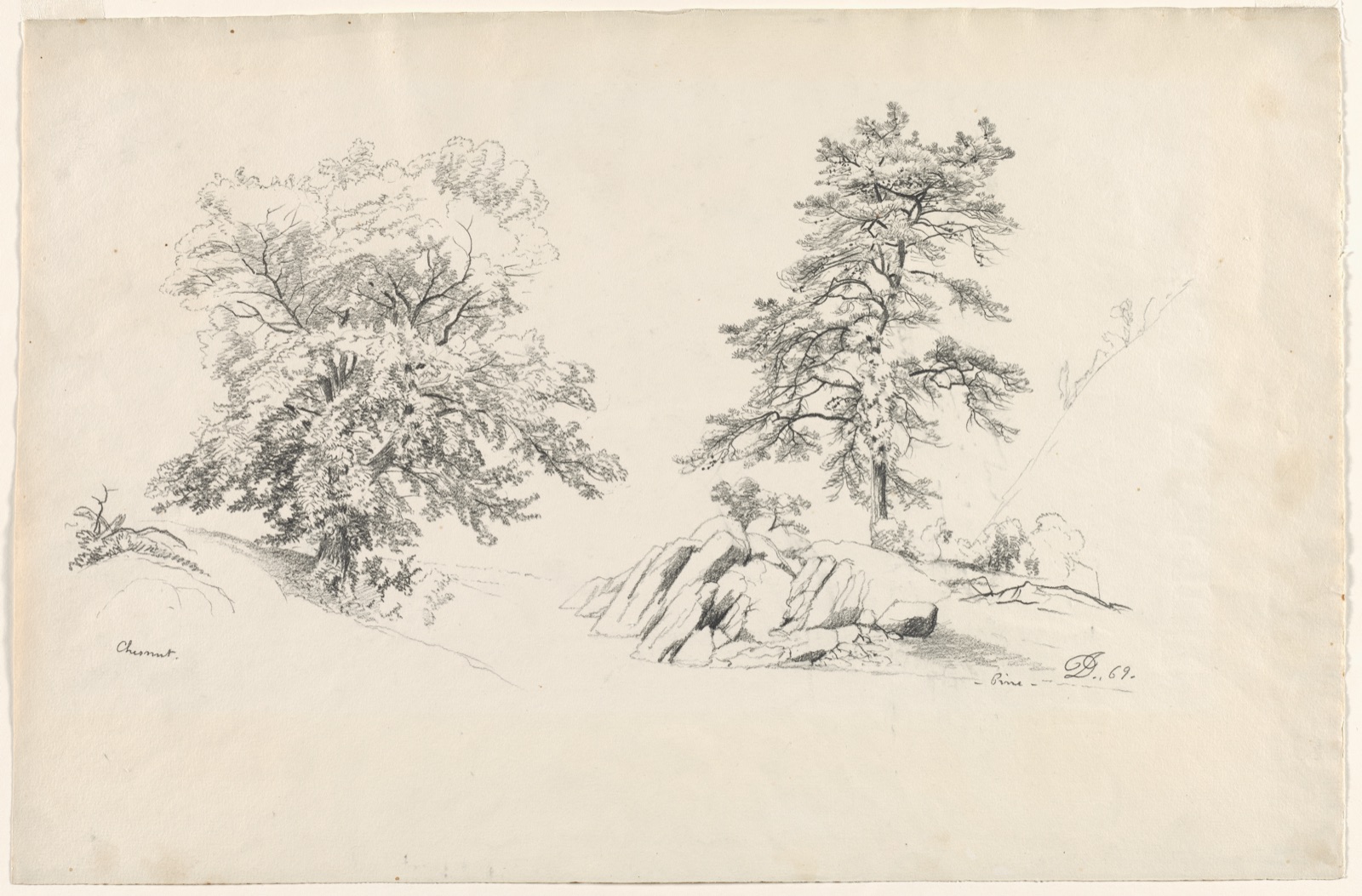 Chestnut and Pine — David Johnson (American, 1827–1908)