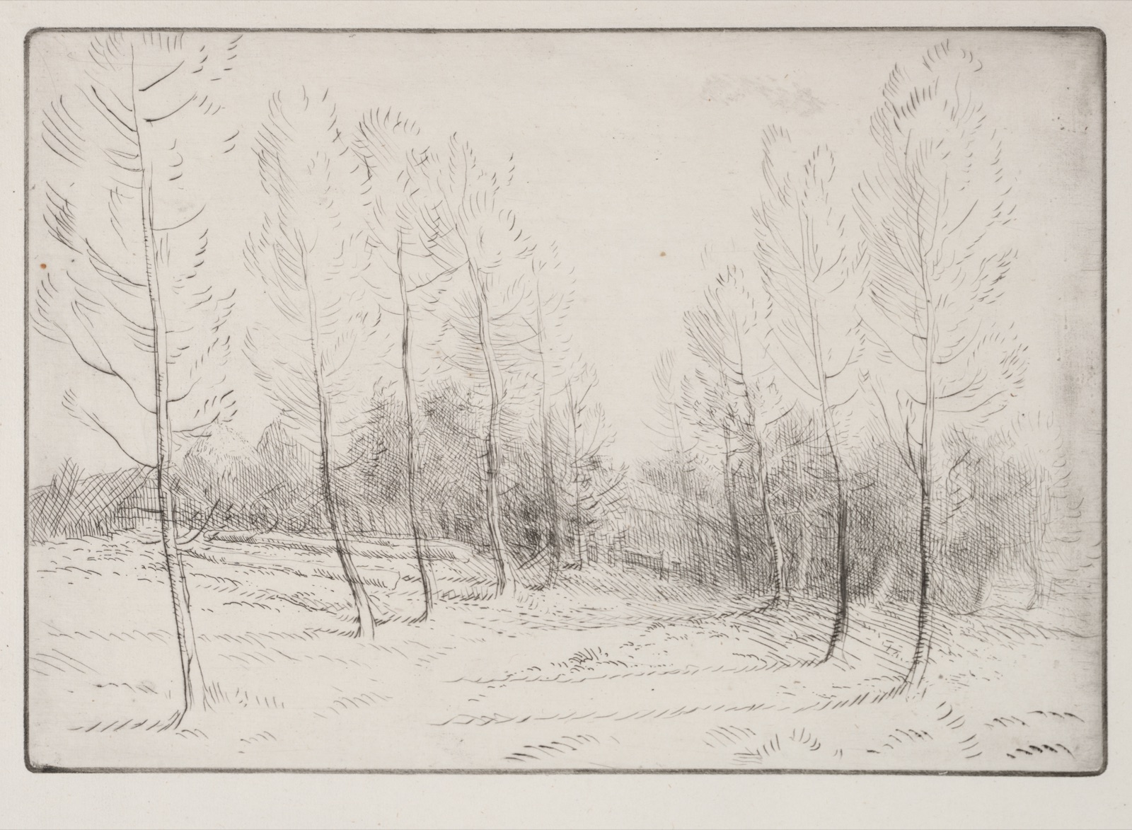Avenue of Poplars — Alphonse Legros (French, 1837–1911)