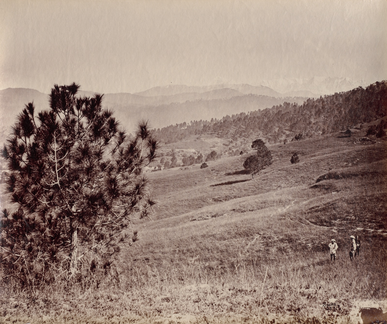 Landscape with Tree and Three Men, India — John Edward Saché (German, 1824–1900)