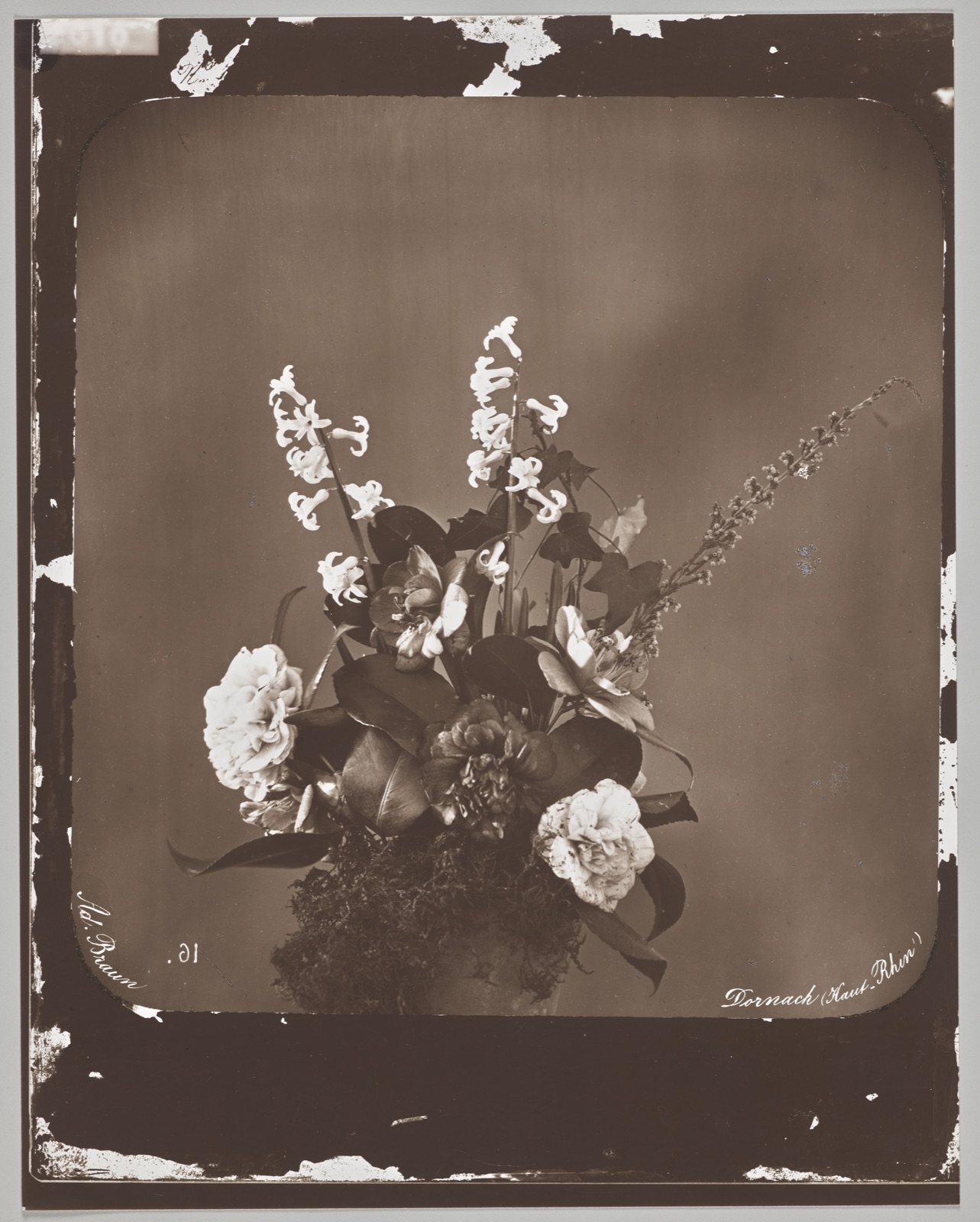 Untitled (flower arrangement) — Adolphe Braun (French, 1812–1877)